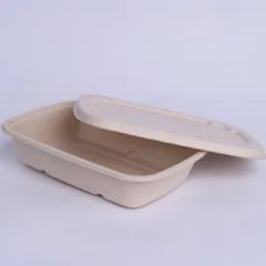 Disposable Tableware Meal Box Bowl Origin China OEM Avaliable Model NO. P-1 Shape Customize Color Customize Certification - Image 1
