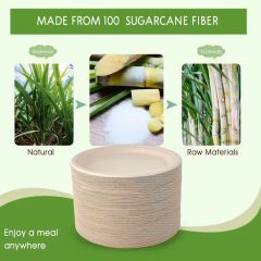 Biodegradable Disposable Tableware for Outdoor Barbecues Origin China HS Code 48236910 Trademark OEM/ODM Printing - Image 3