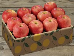 Fuji Apples/Fuji apples, with their crisp texture and sweet-tart flavor, are a delightful fruit that not only pleas – product photo 5, product detail gallery