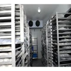 Best Customized Commercial Fruit and Vegetable Cold Room Storage Freezer - Image 3