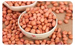 Among the top-selling products are large peanuts, groundnuts, raw peanut kernels and premium, high-nutrition peanut protein seed - Image 2