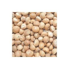 Top Supplier Hot Selling Good Quality Factory Price Wholesale Dried Fresh Betel Nut With Export Standard - Image 1