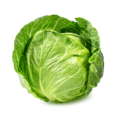Fresh Cabbage - Image 1