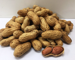 Organic Groundnut - Image 3