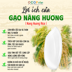 Nang Huong Rice Packaging Details PP Brand Name OCOP Viet Place of Origin - Image 2