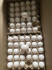 Frischei M – product photo 1, product detail gallery