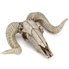 Antique Goat Head Skull Wall Hanging Sheep Head Skeleton Resin Crafts - Image 2