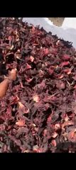 Hibiscus – product photo 1, product detail gallery