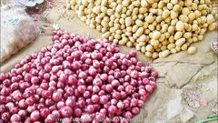 potato and Onion – product photo 1, product detail gallery