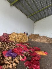 Semi Husked Coconut – product photo 5, product detail gallery