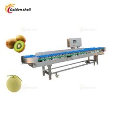 Long Life Service Onion Grader Machine - Image 4