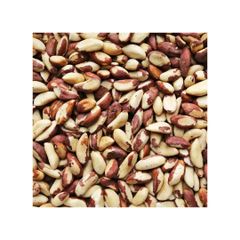 Brazilian nuts bulk supply wholesale cheap price premium quality - Image 1