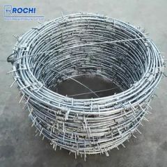 Protective Barbed Wire Double-Twisted Barbed Wire Barbed Wire Net Hot-DIP Galvanized Wire Net - Image 3