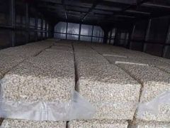 Tanzanian W320 Cashew Kernels- Wholesale Export - Image 4
