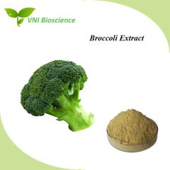 Manufacturer Supply Natural Broccoli Extract for Improve Immunity - Image 2