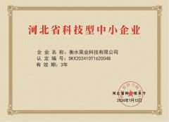 Technological Enterprises certificate from Hengshui Haoye Co., Ltd.