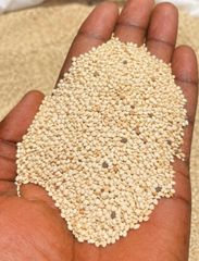Sesame seeds – product photo 1, product detail gallery
