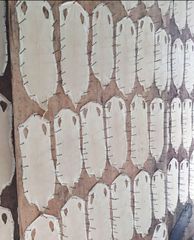 White Dried Stingray Skin - Image 1