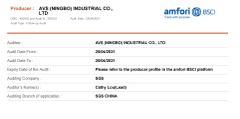 SGS certificate from Avs (Ningbo) Industrial Co., Ltd.