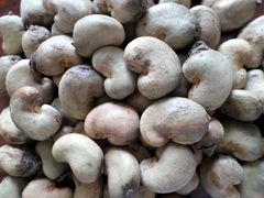 Raw Cashew Nuts for Commercial Buyers Seeking Quality Ingredients for Snacks Desserts and Bakery Products - Image 3