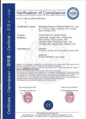 CE certificate from Shanghai Pinnxun Electric Motor Co., Ltd.
