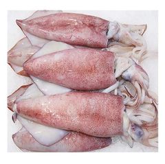 Good Quality Cheap Price Frozen Whole Loligo Squid For Export - Image 1