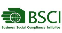 BSCI certificate from Milleen Garden (Qingdao) Co., Ltd