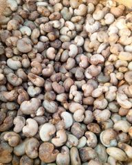 Raw Cashew Nuts - Image 3