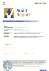 2 certificate from Hebei Denovo Medical Device Co., Ltd.