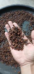 Cloves Ab6 - Image 1