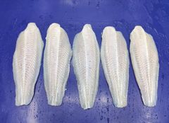 High grade Frozen Pangasius Fillet Basa Steak Vietnam Farming - Image 5