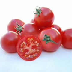 Fresh Tomatoes Farm Fresh Ripe Red Tomatoes Wholesale Supplier Bulk Fresh Produce - Image 4