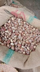 Betel nut Split 90-95% – product photo 2, product detail gallery