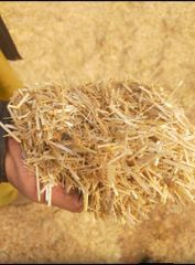 Wheat straw Origin Pakistan Form Compressed Bales Additional Materials Offered Yellow Corn, Broken Rice, Rice - Image 3