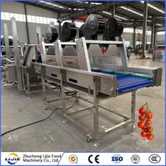 Fruit and Vegetable Processing Fresh Tomato Bubble Cleaning Washing Machine - Image 3