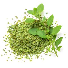 Marjoram - Image 1
