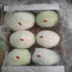 white Cabbage Style Fresh Address egypt Model Number 1 Quality Top Grade Manufacturer Bloom Taste Natural Taste Color Purple, - Image 4