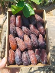Medjool Dates - Image 3