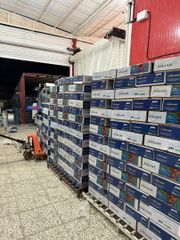 Iranian Mazafati dates with premium quality and international standards to market - Image 4