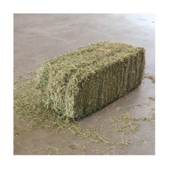 Alfalfa Hay at very cheap price / Quality Rhodes Grass Hay Alfalfa Top Quality Alfalfa Hay for Animal Feeding Stuff Alfalfa / Alfalfa Hay For Sale At Wholesale Price - Image 5