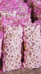 Fresh White Garlic – product photo 8, product detail gallery