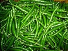 Green Chilli - Image 2