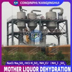 Forced Circulation Triple-Effect Evaporation Freeze Crystallization Equipment - Image 2