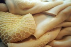 Premium Frozen Beef Tripe — Halal Certified, Export Grade, Cleaned & Frozen at -18°C - Image 5