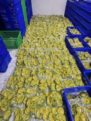 FROZEN AVOCADO (half cut, dice, puree) - Image 3