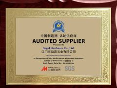 SGS certificate from Degol Hardware Co., Ltd.