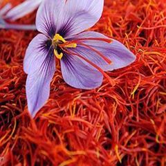 Super Negin Iranian Saffron in Bulk, Premium Quality | Hand Picked| Long Red Thread - Image 2