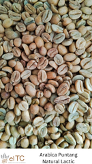 Indonesian Arabica Green Coffee Beans – product photo 3, product detail gallery