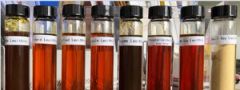 Food-Grade Soya Lecithin Liquid Emulsifier 2Y Shelf MOQ100 Renze Halal Kosher - Image 3