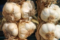 2022 Fresh White garlic for Sale – product photo 3, product detail gallery